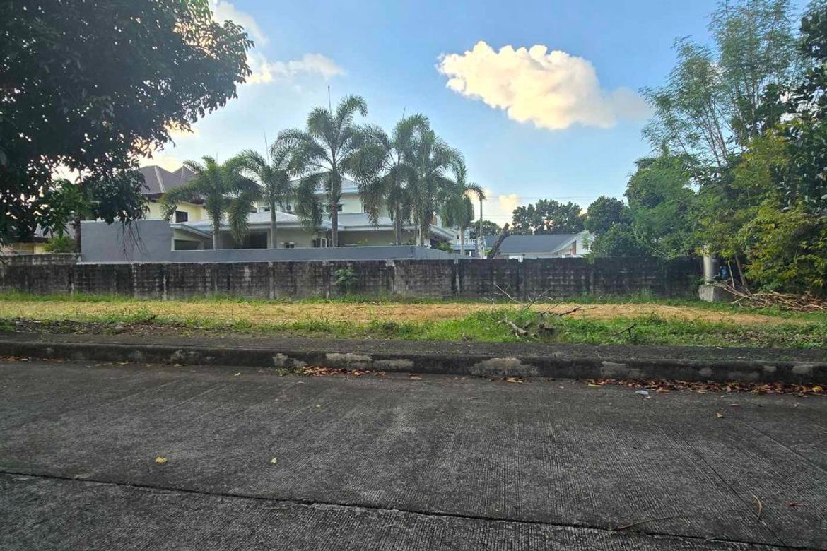 Land for Sale in Telabastagan, San Fernando, Pampanga – photo 5