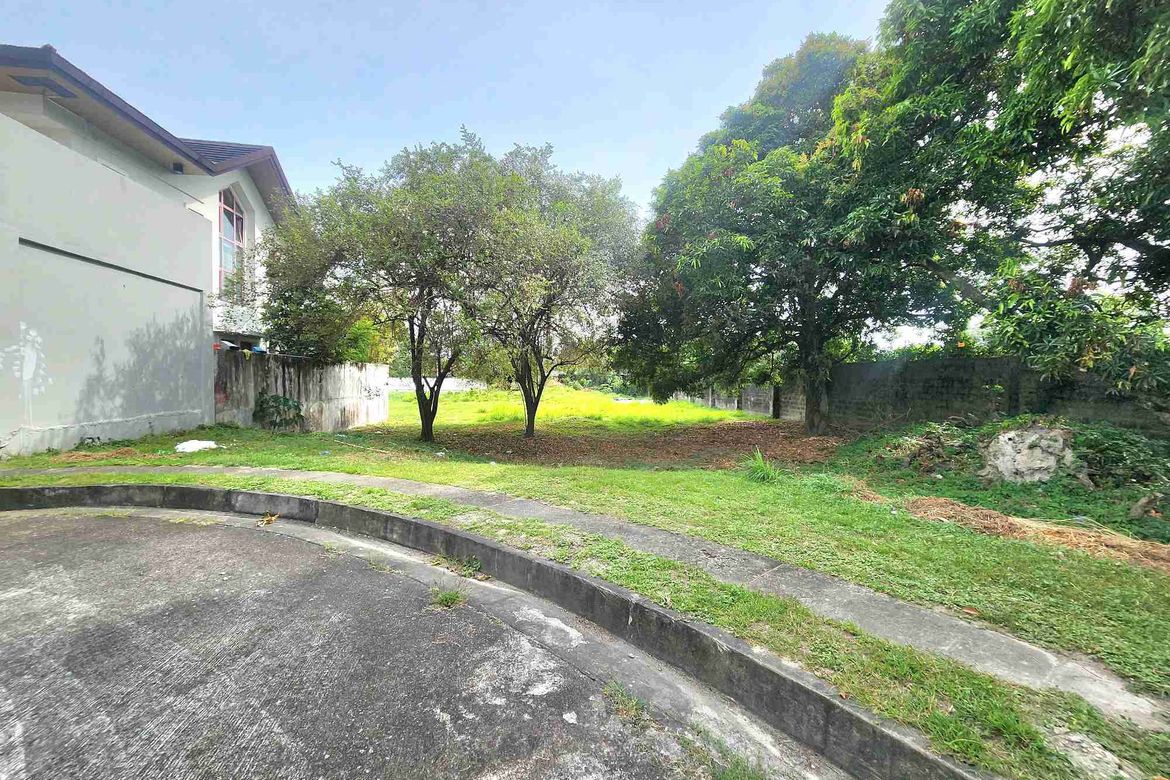 Land for Sale in Telabastagan, San Fernando, Pampanga – photo 2