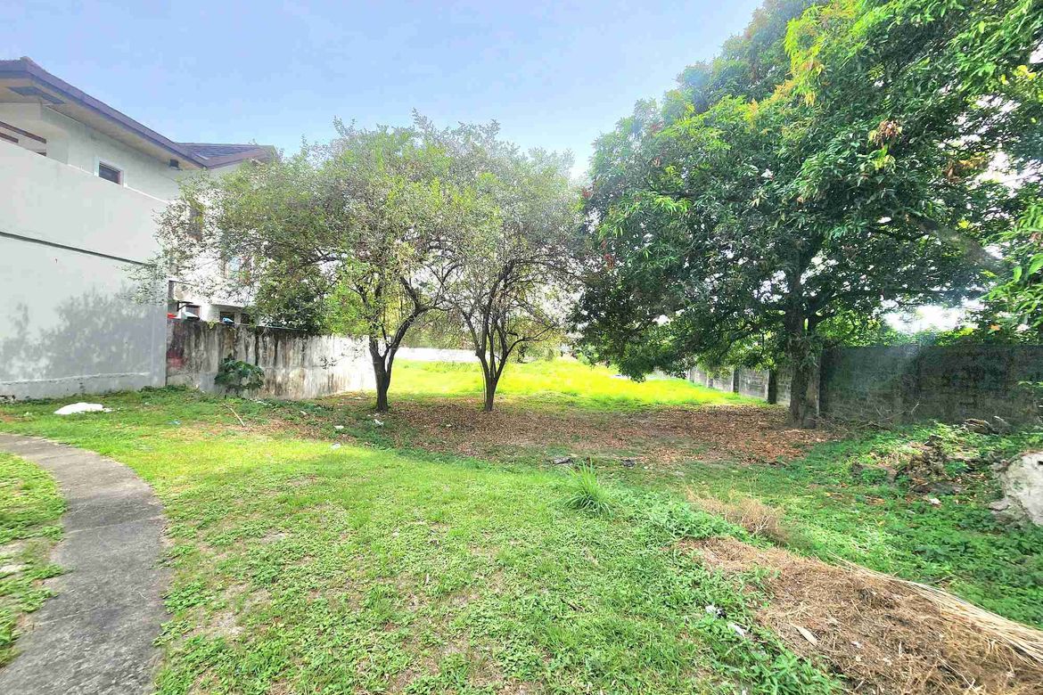 Land for Sale in Telabastagan, San Fernando, Pampanga – photo 3