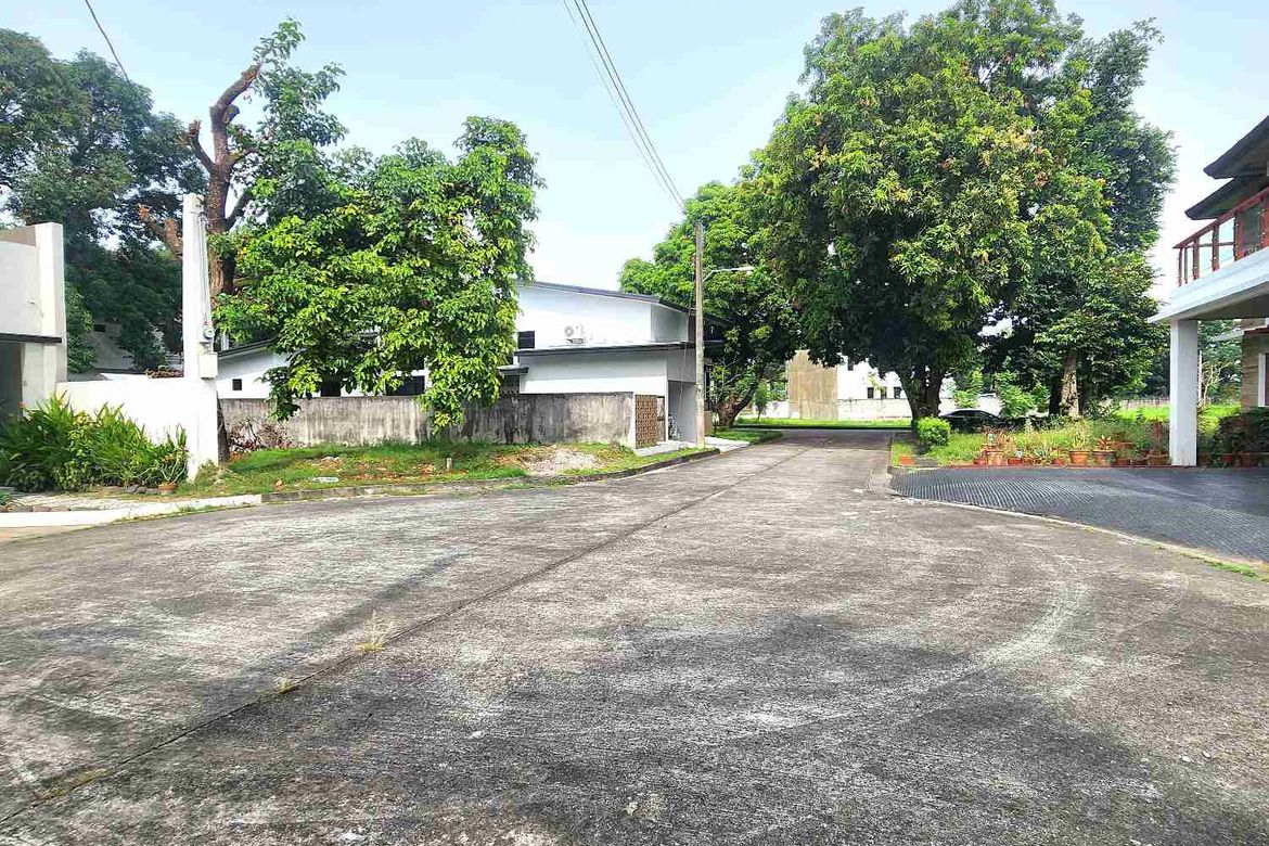 Land for Sale in Telabastagan, San Fernando, Pampanga – photo 6