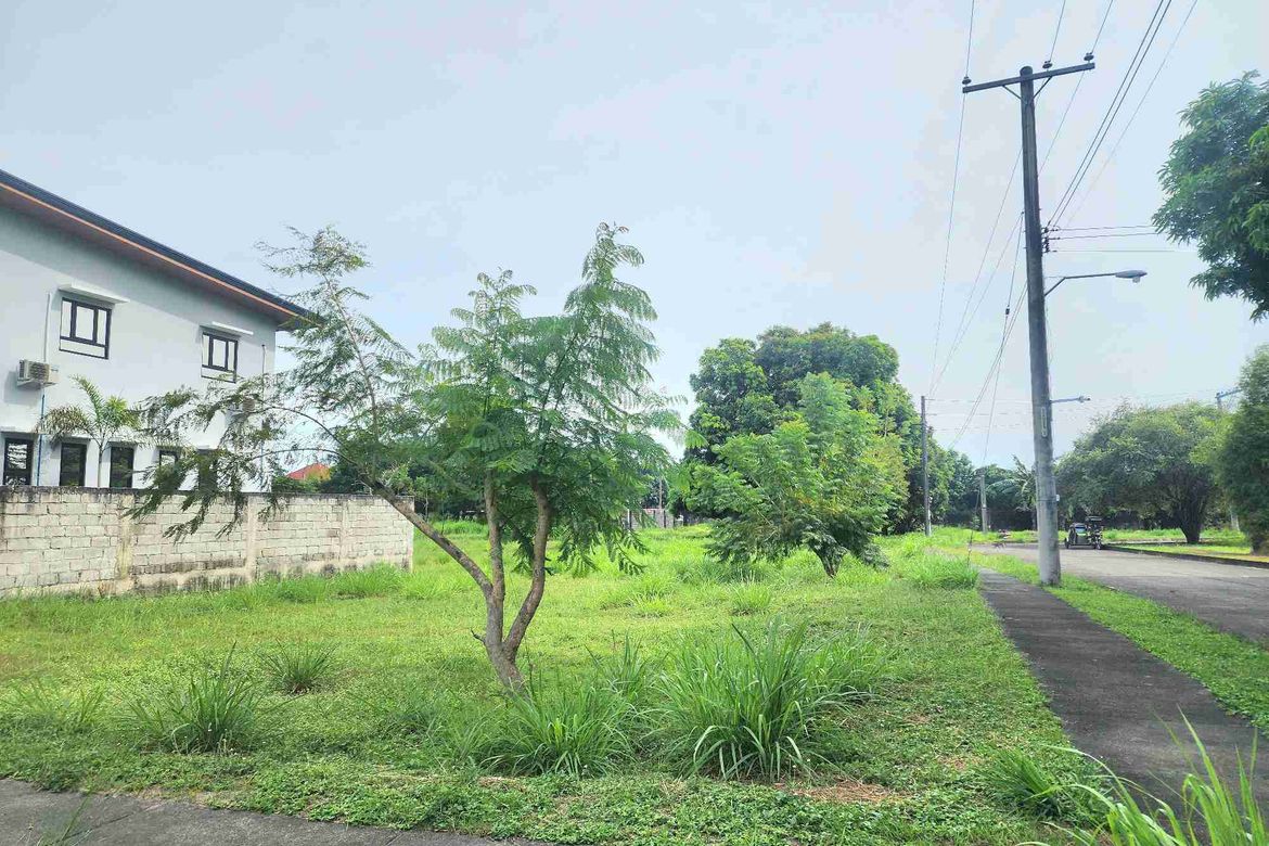 Land for Sale in Telabastagan, San Fernando, Pampanga – photo 3
