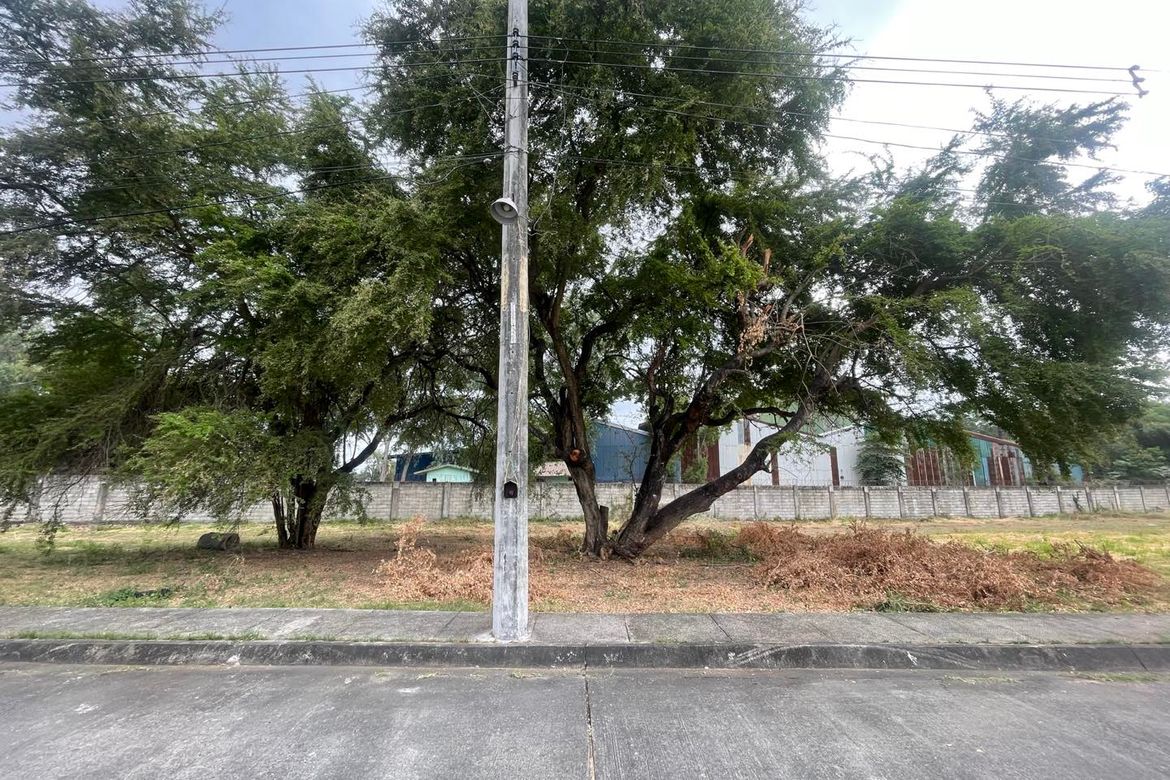 Land for Sale in Telabastagan, San Fernando, Pampanga – photo 2