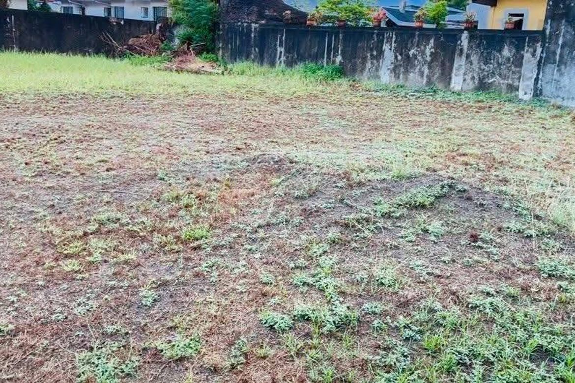 Land for Sale in Telabastagan, San Fernando, Pampanga