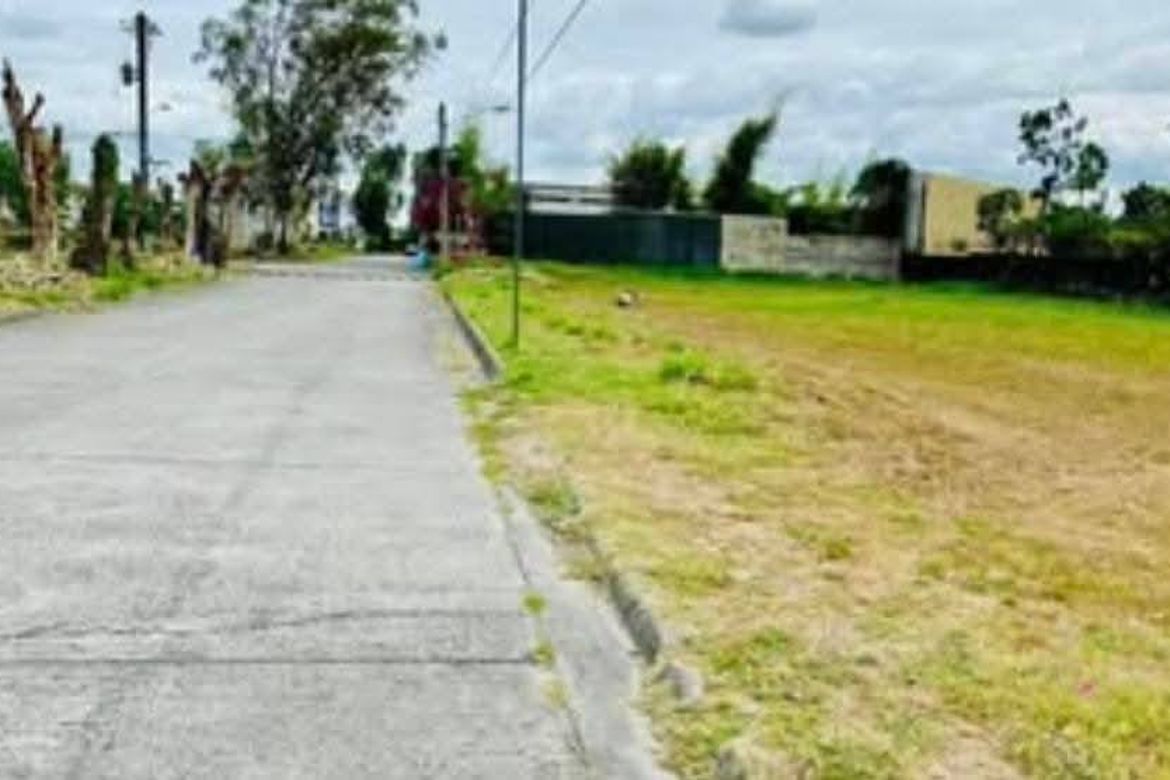 Land for Sale in Telabastagan, San Fernando, Pampanga – photo 2