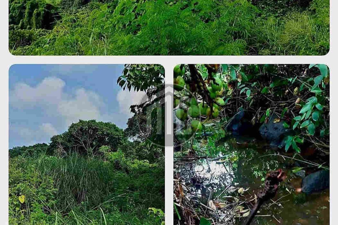 Land for Sale in Telapayong, Arayat, Pampanga – photo 3