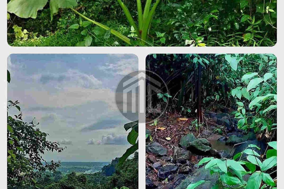 Land for Sale in Telapayong, Arayat, Pampanga – photo 5