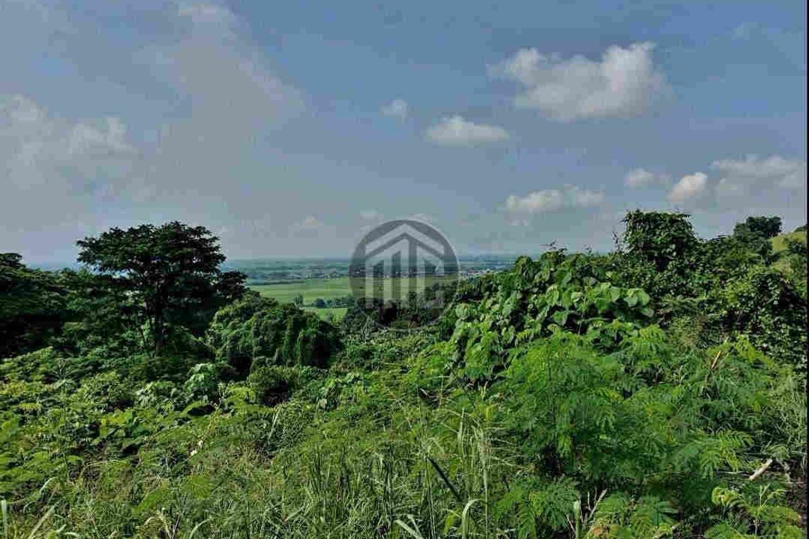 Land for Sale in Telapayong, Arayat, Pampanga – photo 8