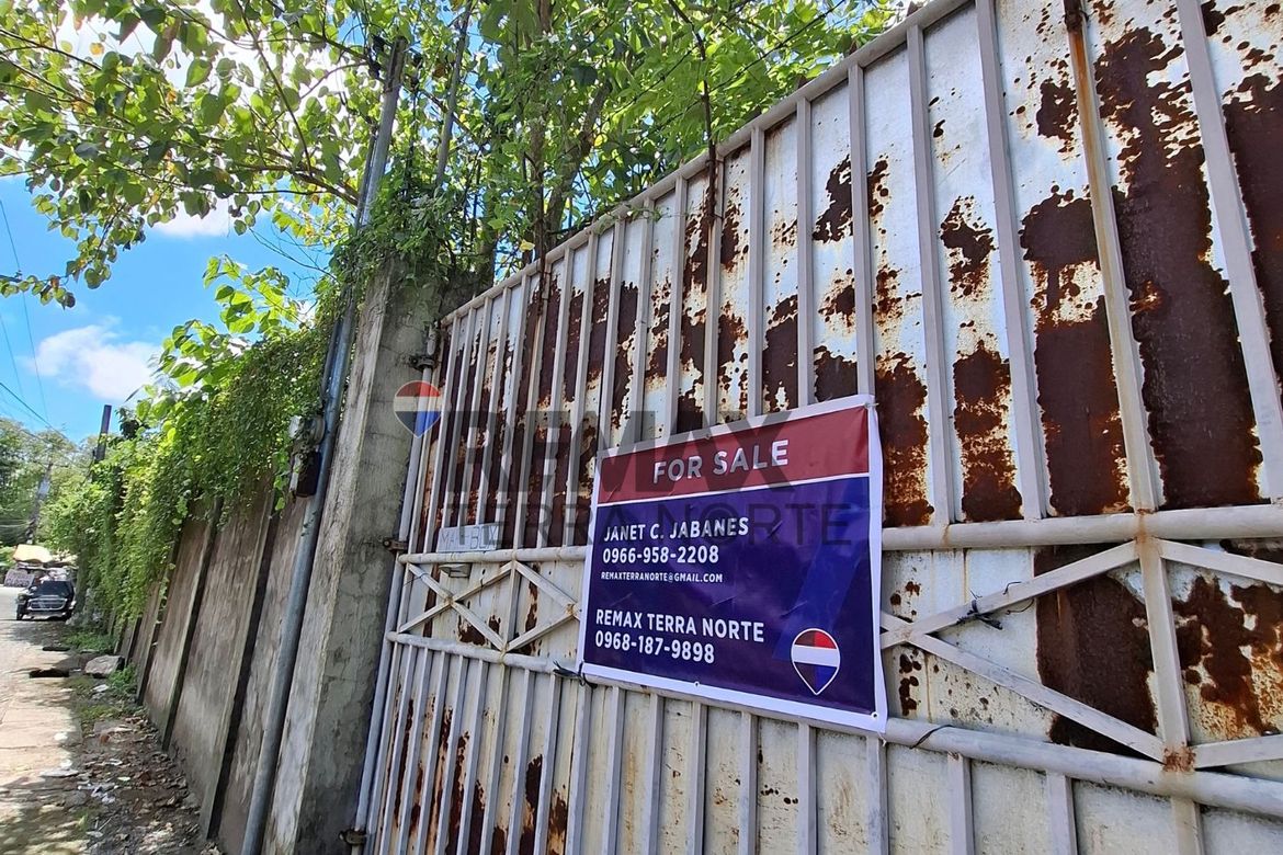 Land for Sale in Tempra-Guilig, San Fabian, Pangasinan – photo 4