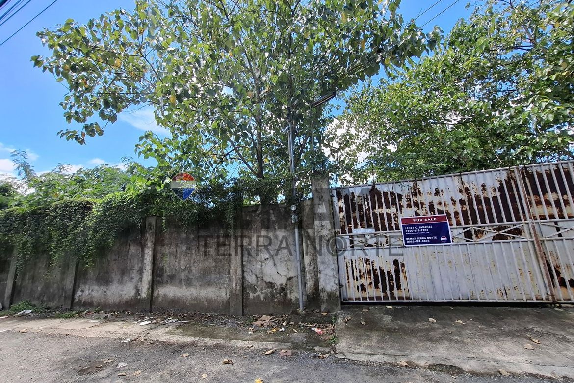 Land for Sale in Tempra-Guilig, San Fabian, Pangasinan – photo 5