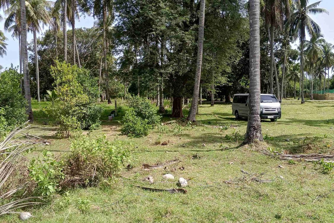 Land for Sale in Teresa, Narra, Palawan – photo 2