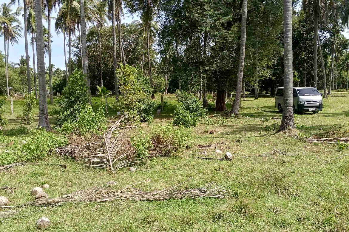 Land for Sale in Teresa, Narra, Palawan – photo 3