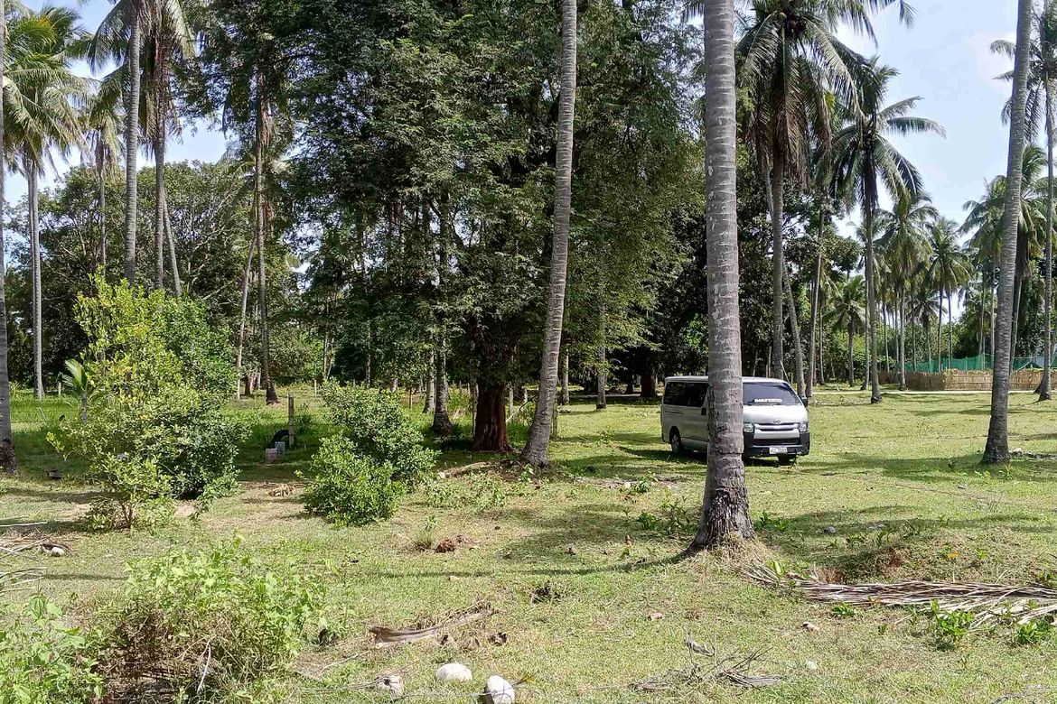 Land for Sale in Teresa, Narra, Palawan – photo 4