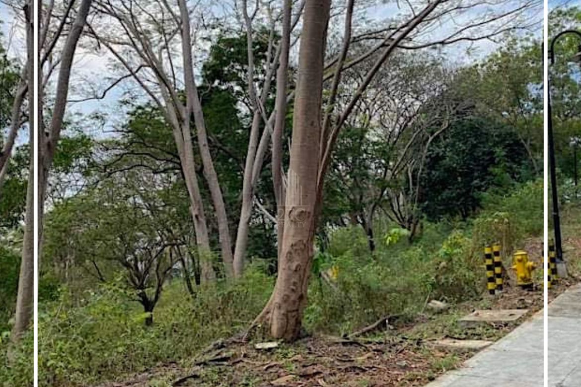 Land for Sale in Terrazas De Punta Fuego, Natipuan, Nasugbu, Batangas