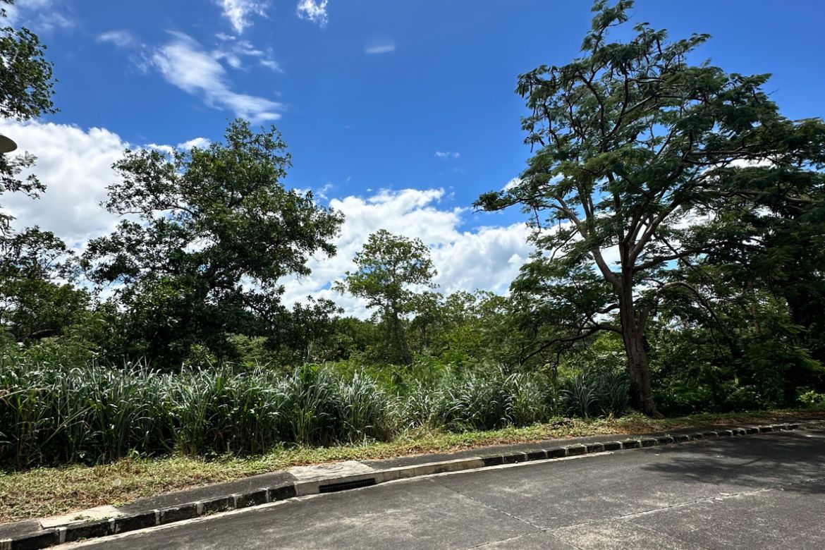 Land for Sale in Terrazas De Punta Fuego, Natipuan, Nasugbu, Batangas – photo 3