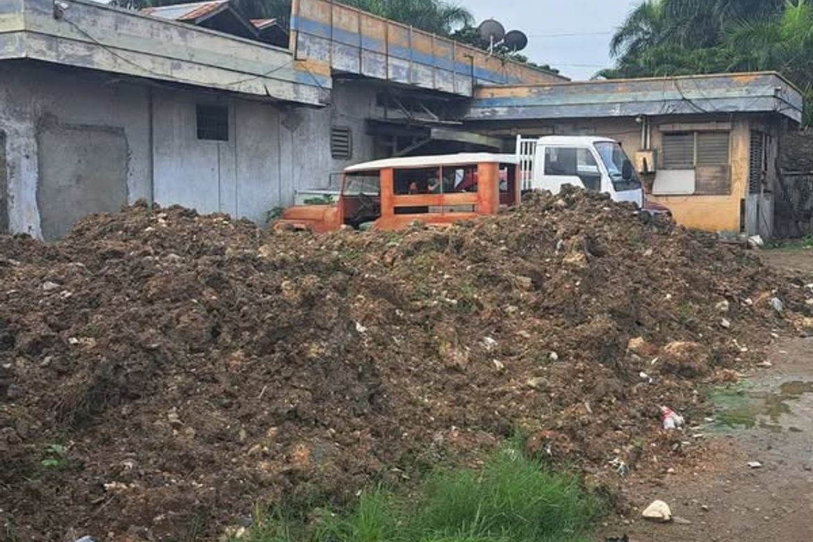 Land for Sale in Tetuan, Zamboanga City, Zamboanga del Sur – photo 2