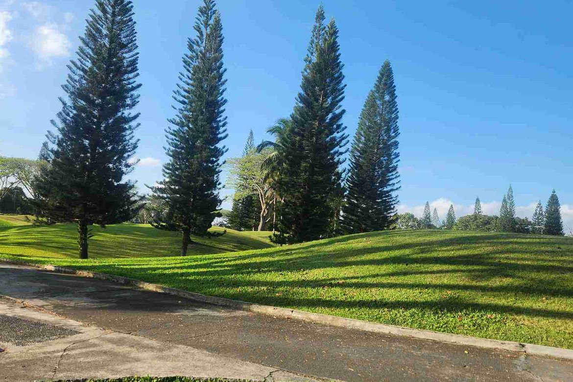 Land for Sale in The Alcove at Mount Malarayat, Dagatan, Lipa, Batangas – photo 5