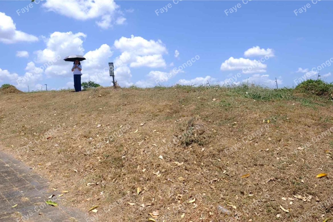 Land for Sale in The Courtyards by Ayala Land Premier, Anabu I-A, Imus, Cavite – photo 5