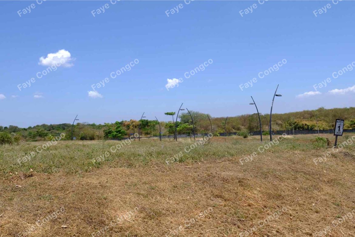 Land for Sale in The Courtyards by Ayala Land Premier, Anabu I-A, Imus, Cavite – photo 7