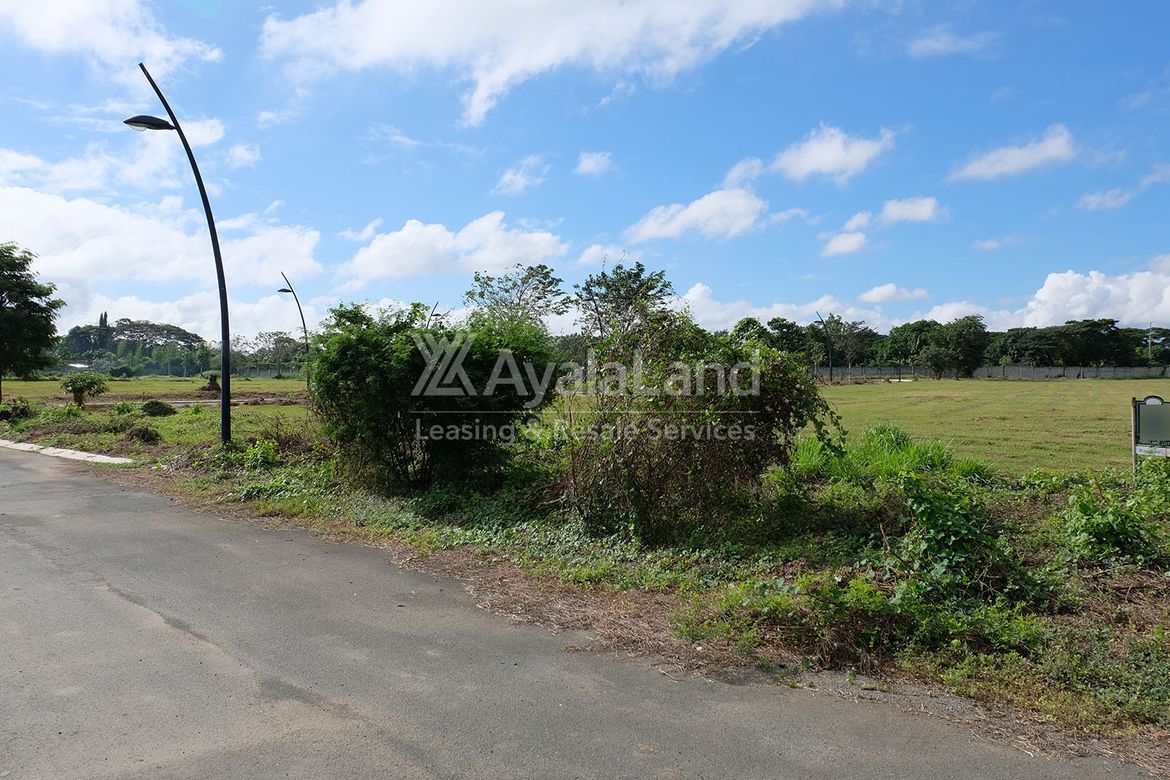 Land for Sale in The Courtyards Vermosa, Sampaloc I, Dasmariñas, Cavite – photo 2