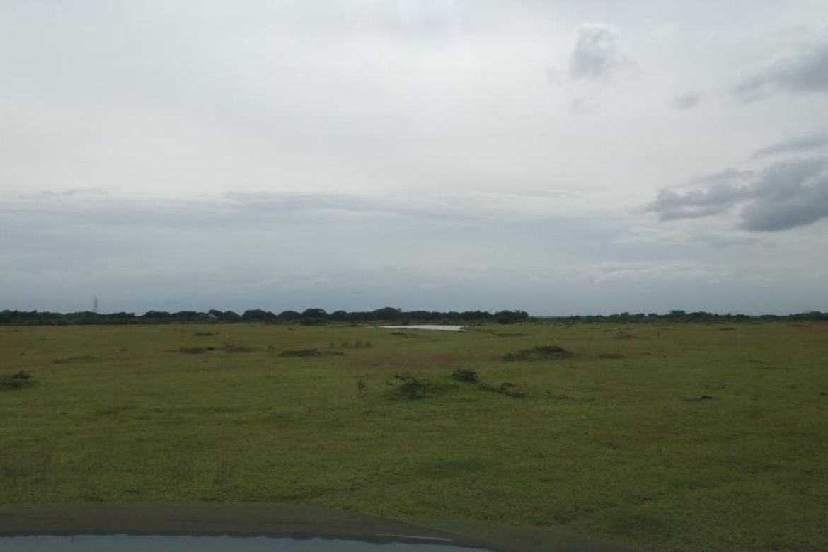 Land for Sale in The Courtyards Vermosa, Sampaloc I, Dasmariñas, Cavite – photo 8