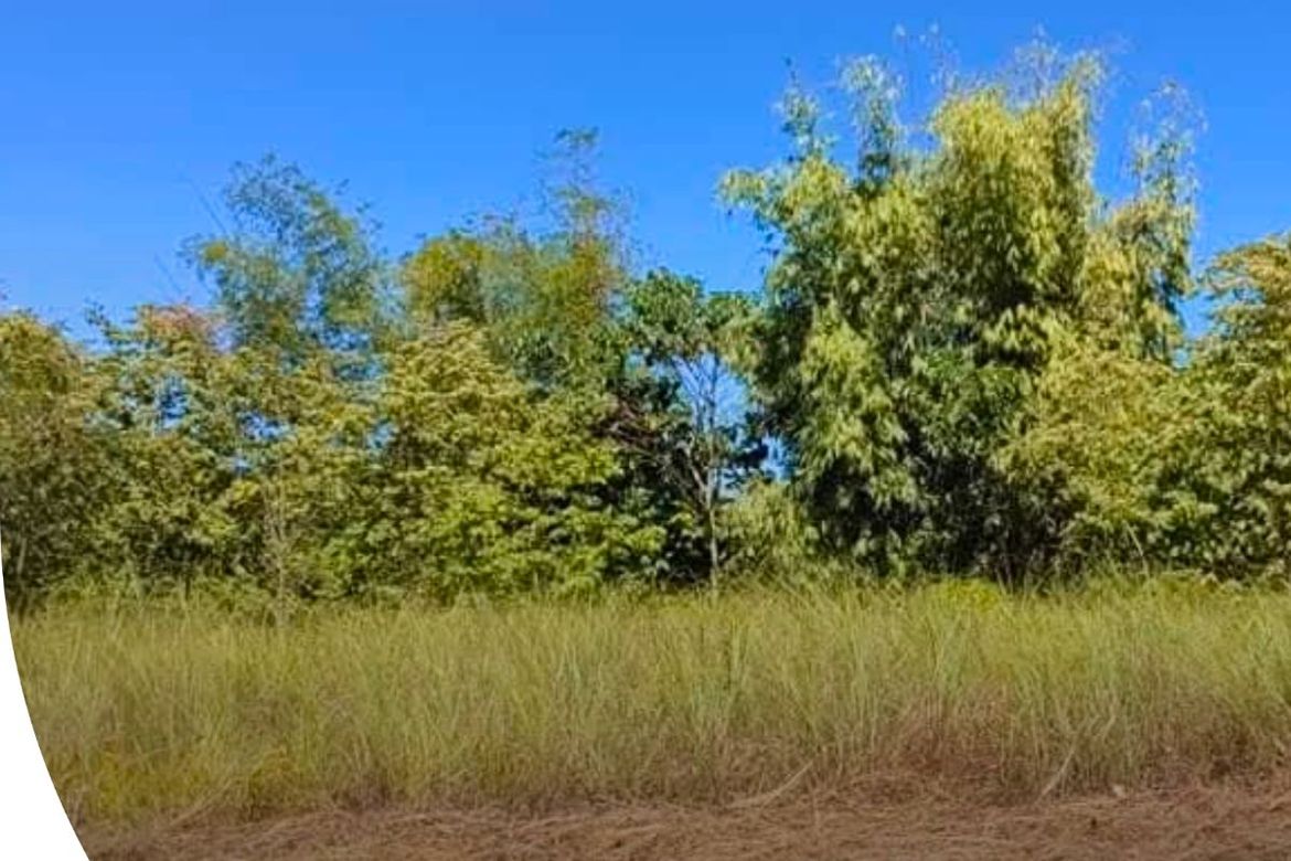 Land for Sale in The Glades, Pintong Bocawe, San Mateo, Rizal