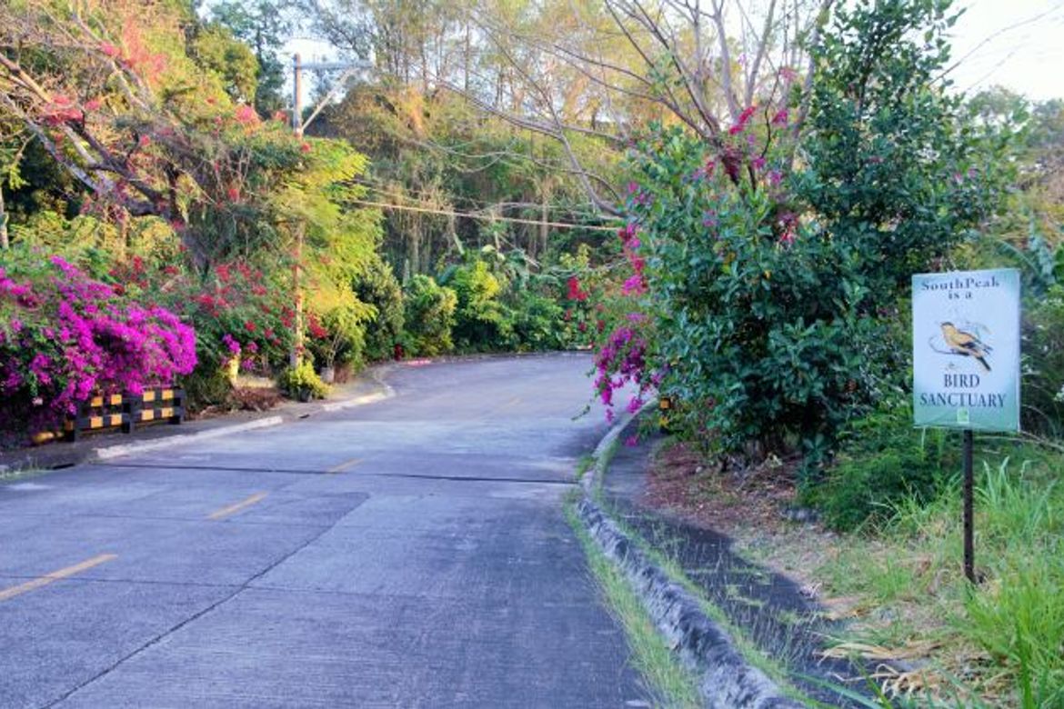 Land for Sale in The Pines at South Peak, San Antonio, San Pedro, Laguna – photo 4