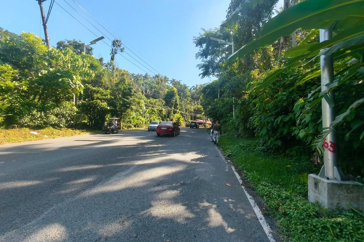 Land for Sale in Tiawe, Lucban, Quezon – photo 4