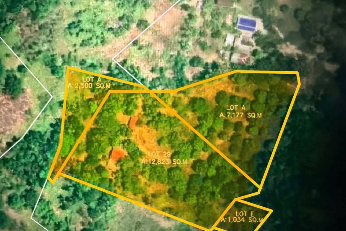 Land for Sale in Tibag, Tarlac, Tarlac – photo 4
