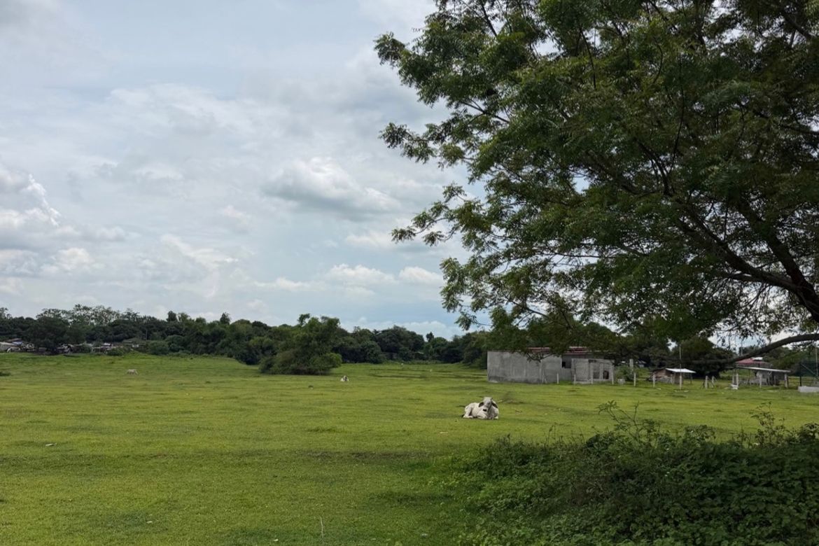 Land for Sale in Tibag, Tarlac, Tarlac