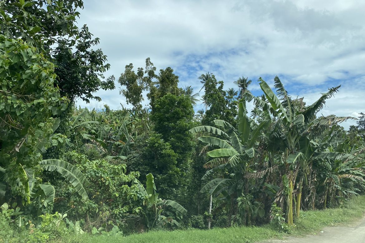Land for Sale in Tibig, Lipa, Batangas