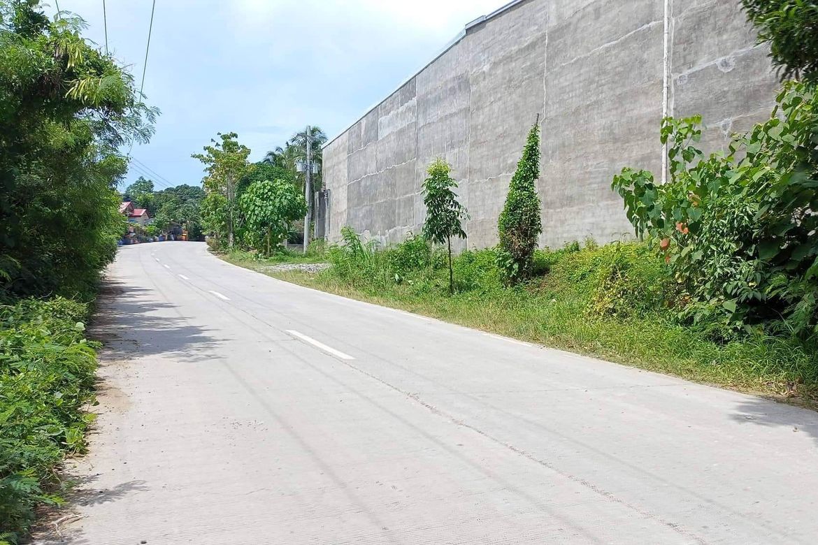 Land for Sale in Tibungco, Davao City, Davao del Sur