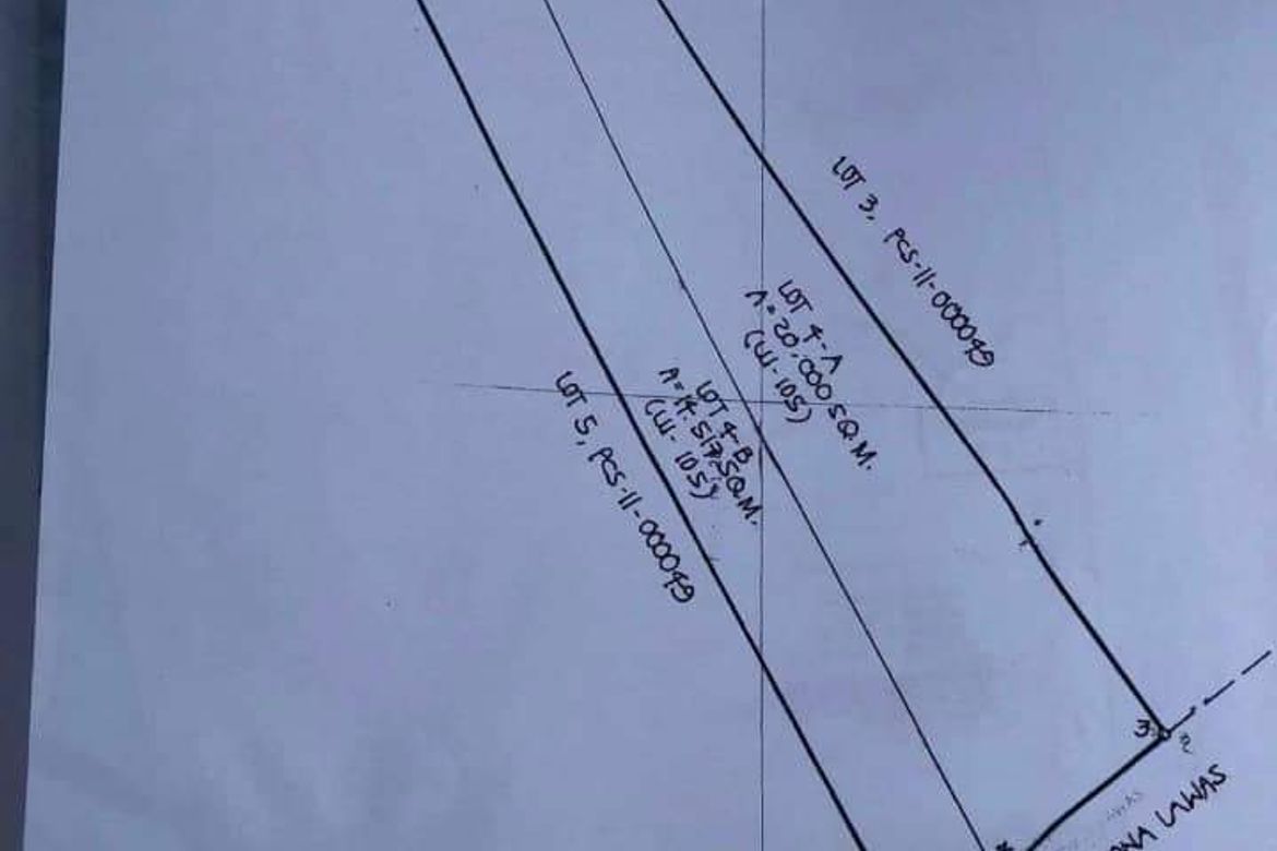 Land for Sale in Tibungco, Davao City, Davao del Sur – photo 3