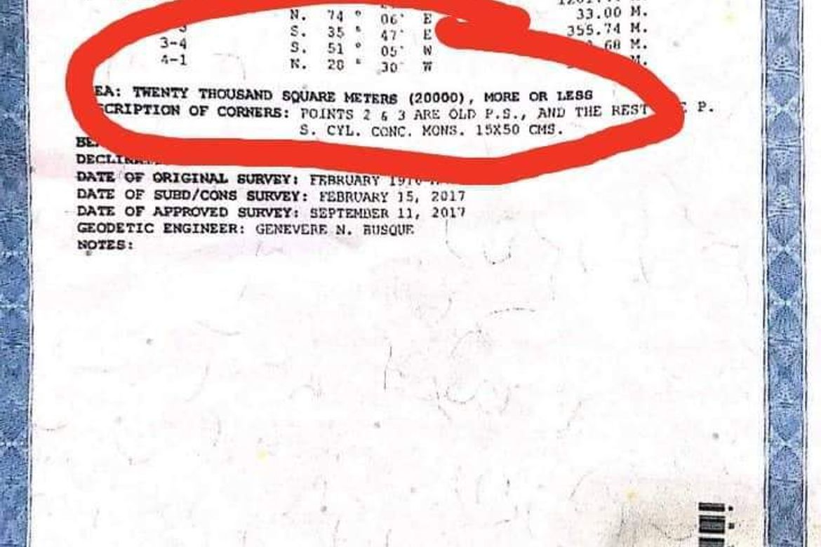 Land for Sale in Tibungco, Davao City, Davao del Sur – photo 5