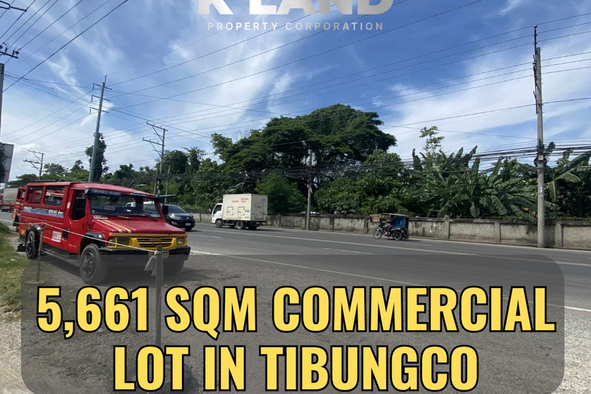 Land for Sale in Tibungco, Davao City, Davao del Sur