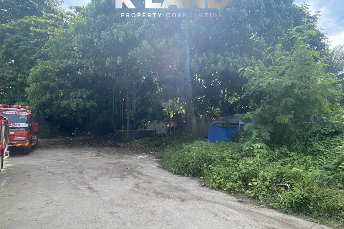 Land for Sale in Tibungco, Davao City, Davao del Sur – photo 4