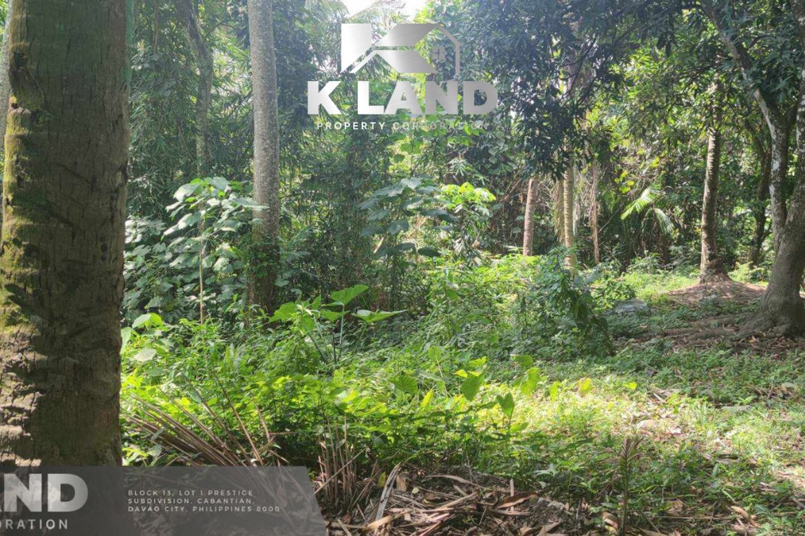 Land for Sale in Tibungco, Davao City, Davao del Sur – photo 2