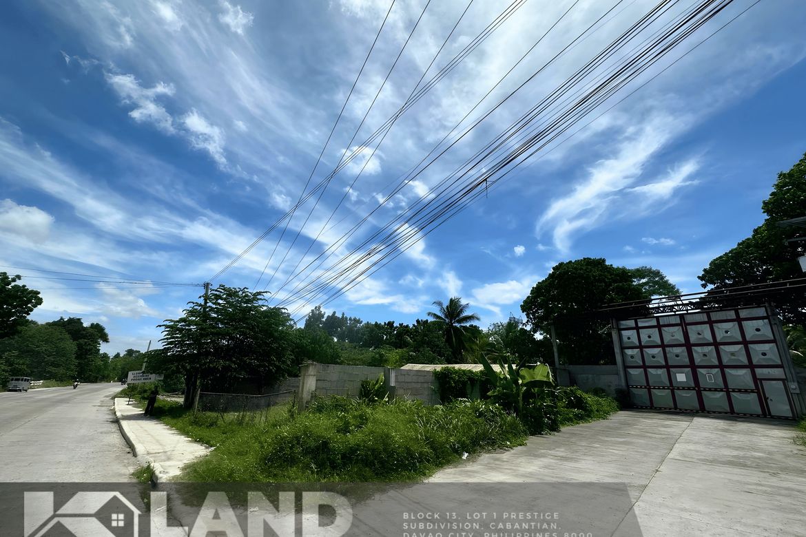 Land for Sale in Tibungco, Davao City, Davao del Sur – photo 2