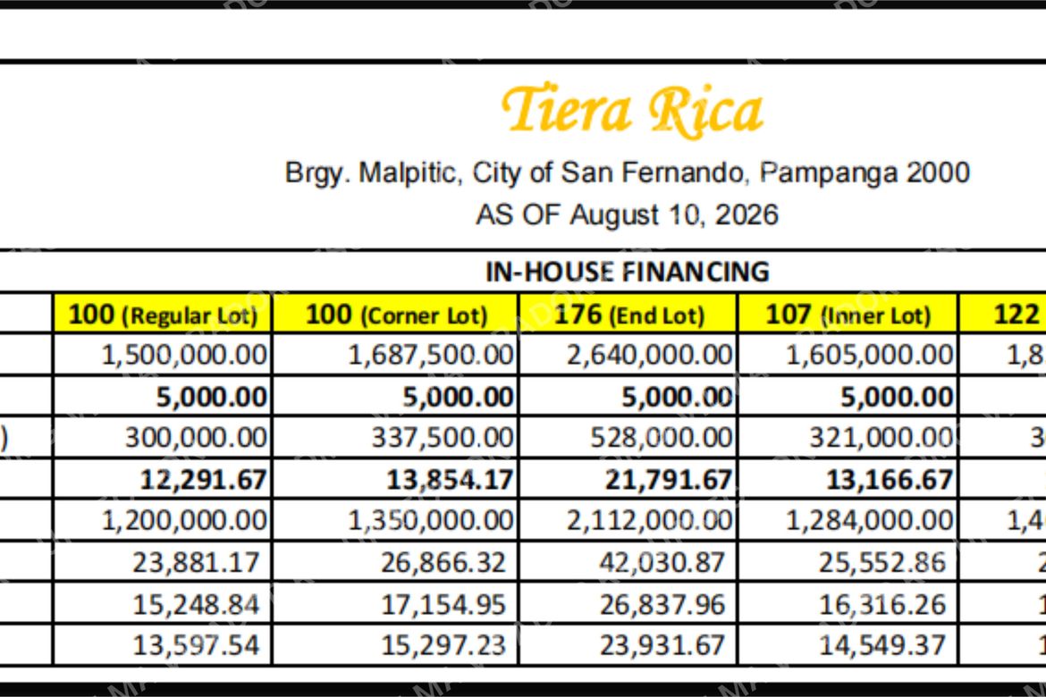 Land for Sale in Tiera Rica, Malpitic, San Fernando, Pampanga – photo 4