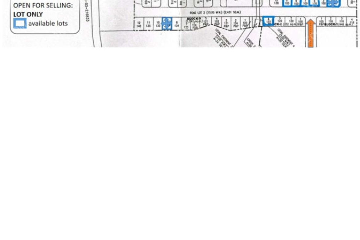 Land for Sale in Tiera Rica, Malpitic, San Fernando, Pampanga – photo 5