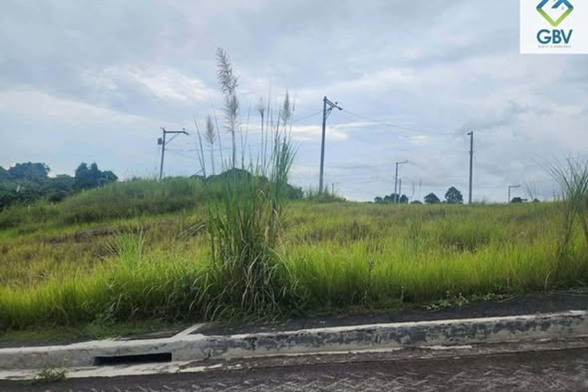 Land for Sale in Tigatto, Davao City, Davao del Sur