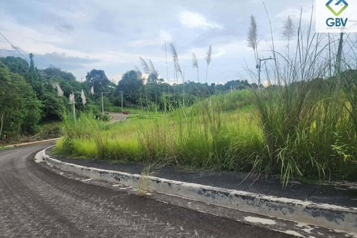 Land for Sale in Tigatto, Davao City, Davao del Sur – photo 2