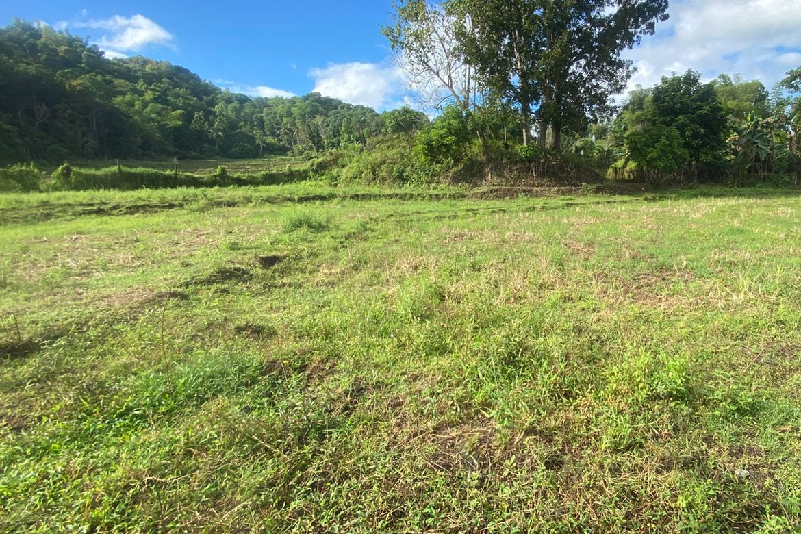 Land for Sale in Tigbalua I, Sibalom, Antique