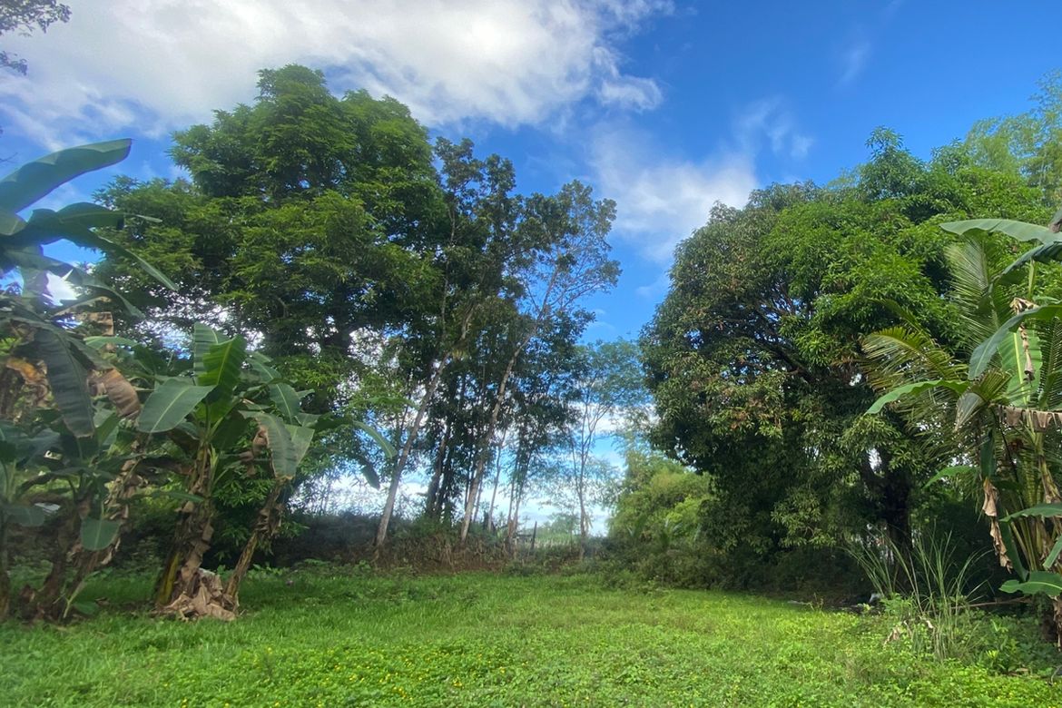 Land for Sale in Tigbalua I, Sibalom, Antique – photo 2