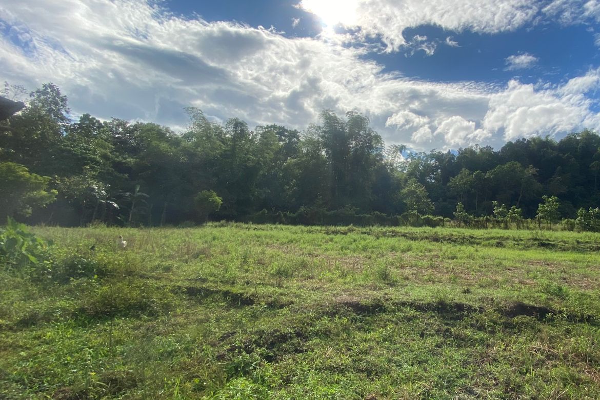 Land for Sale in Tigbalua I, Sibalom, Antique – photo 7