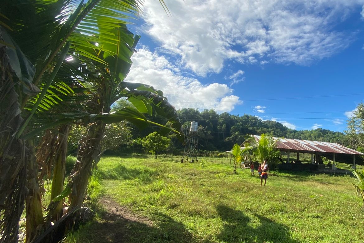 Land for Sale in Tigbalua I, Sibalom, Antique – photo 8