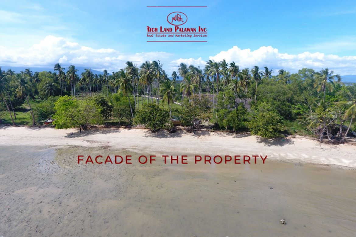 Land for Sale in Tigman, Aborlan, Palawan – photo 3