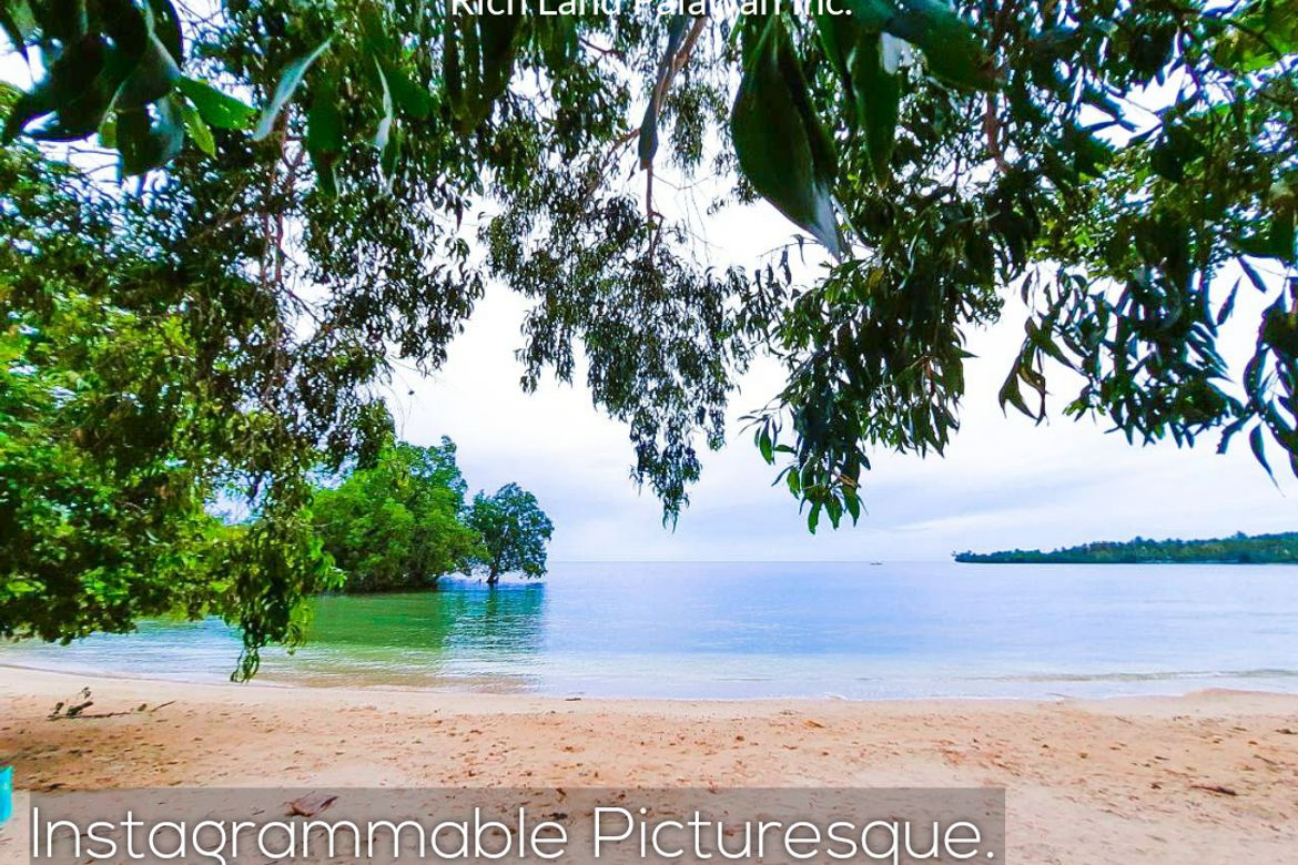 Land for Sale in Tigman, Aborlan, Palawan – photo 8