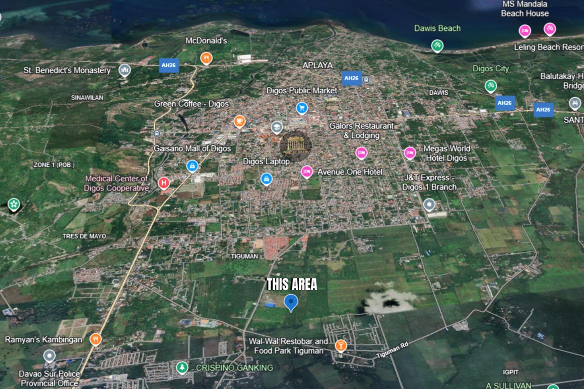 Land for Sale in Tiguman, Digos, Davao del Sur – photo 2