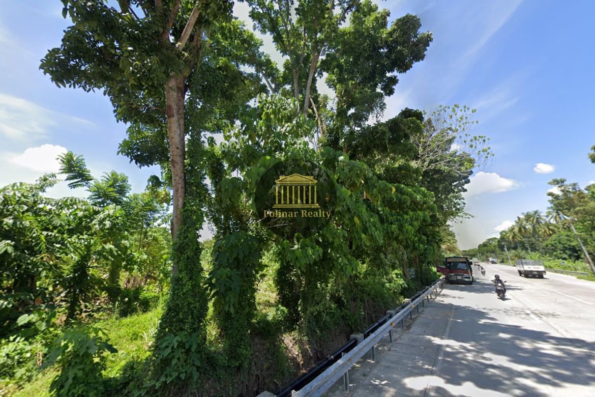 Land for Sale in Tiguman, Digos, Davao del Sur – photo 4