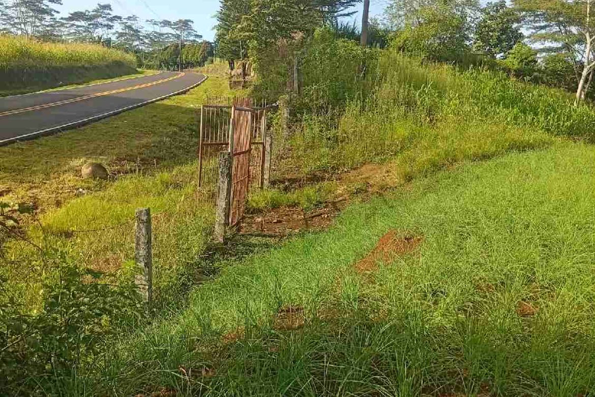 Land for Sale in Tikalaan, Talakag, Bukidnon